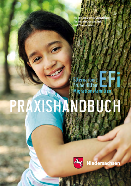 EFi_Praxishandbuch